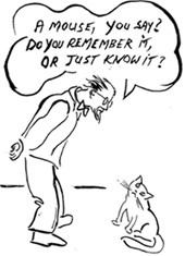  עכבר, אתה אומר? האם אתה זוכר זאת, או פשוט יודע את זה? המחשה לשתי צורות שונות של זיכרון: זיכרון של אירוע...