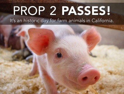 מתוך אתר Yes! on Prop 2