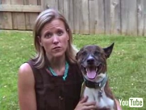 מתוך תשדיר בחירות: מנהלת הקמפיין כן! להצעה 2 והכלכלנית הראשית של HSUS, ג'ניפר פירינג, ממחישה את הקשר בין...