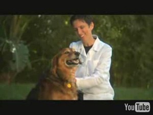 מתוך תשדיר בחירות: ד ר קייט הארלי, המכהנת כפרופ' בביה ס לרפואה וטרינרית, היא אחת מכ-500 וטרינרים...