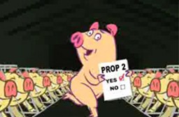 חזיר מצויר מרקד כחלק מקמפיין למען בעלי חיים של HSUS