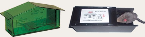 מלכודות שאין בהן סכנת פגיעה מכנית לעכבר: Mouse Depot (מימין) ו-Smart