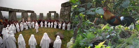 מה הקשר בין הזכות לחופש הדת והפולחן לבין זכויות בעלי-חיים? התשובה טמונה בעיקרון המוסרי שמאחורי הזכויות,...