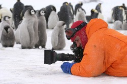 משפחת הקיסרים