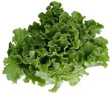 מתקשרת עם חייזרים?