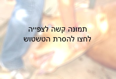 פרה מוחזקת בזמן שחיטה