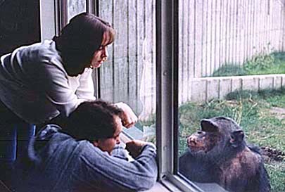 מצחצחים מראה של בעלי-חיים כדי להביט בעצמנו