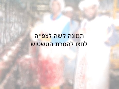 ביצוע השחיטה.