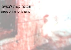 באטלר: המצבטים לא עוצבו באופן מתאים למידה החריגה של התרנגולים. הם היו קטנים מדי להכנסת רגליהם. בתהליך...