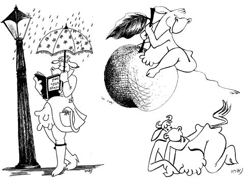 איורי פרות כנשים שופעות מתוך הירחון לרפתנים משק הבקר והחלב 