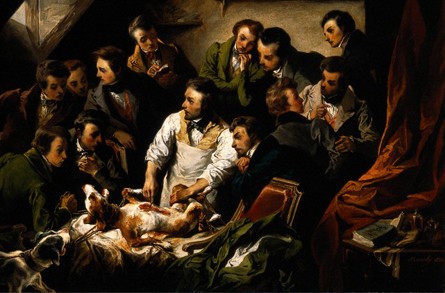 הדגמה פומבית של ויוויסקציה בכלב. פרט מתוך ציורו של Emile-Edouard Mouchy, משנת 1832.