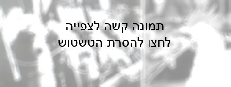 ניסויים בכלבים ותרנגולות שנועדו להוכיח כי העישון אינו מגביר את הסיכון לחלות בסרטן