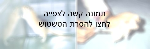 נתונים במצב מתמיד של חרדה קיצונית