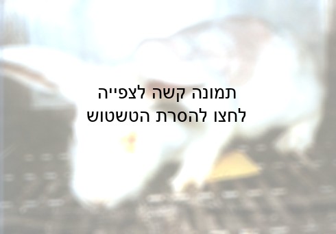 הברית הלא-קדושה בין הרפואה המודרנית לבין כלכלת השוק