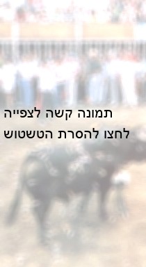 התומכים באירועי הרג מסוגנן נתלים בתירוץ שמדובר במסורת