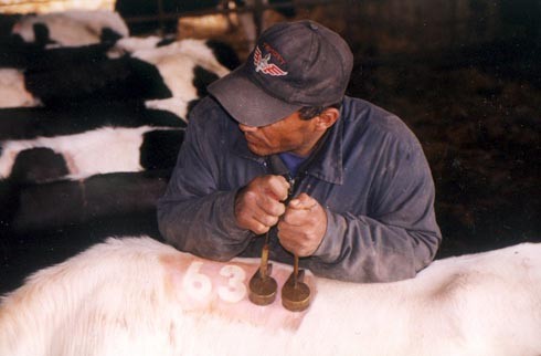  פעם אחת עישנו בזמן הצריבה, הסיגריה נפלה על העגלה והיא התחילה לבעור 