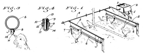 מערכת טיפניות על צינורות מים, המאפשרת לרשת את כל הלול כמערכת השקיה אחת, יובל שנים לפני שהפכה הטכנולוגיה...