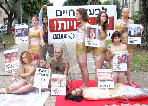 המיצג לרגל יום זכויות בעלי-החיים הבינלאומי ה-11