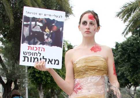  הזכות לחופש מאלימות . בעלי החיים סובלים מאלימות יומיומית שבאה לידי ביטוי בכל תהליך שהם עוברים מתחילת...