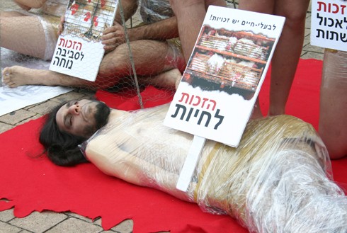 המיצג עורר התפעלות רבה בקרב העוברים ושבים ויצר התקהלות.