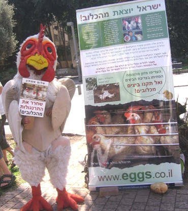מתוך משמרת מחאה של אנונימוס נגד תוכנית הרפורמה של משרד החקלאות