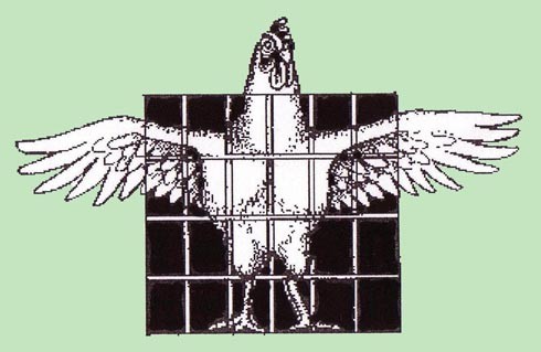 בכלובי הסוללה כלואות התרנגולות בכלובים שאינם מאפשרים להן אפילו למתוח כנפיים או לעמוד זקוף. בכל כלוב...