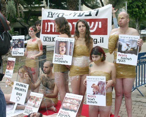 מיצג אנונימוס. עבור יותר ויותר ארגונים בדור האחרון עצם קיומם של מוסדות מנצלים הוא פסול מן היסוד, ולכן יש...