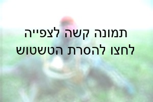 סטיבס מניח שאנו, כבני-אדם, נמצאים בעולם עם חיות אחרות כנתון קיומי. ההוויה המשותפת מעוררת בנו פחד, שבו...