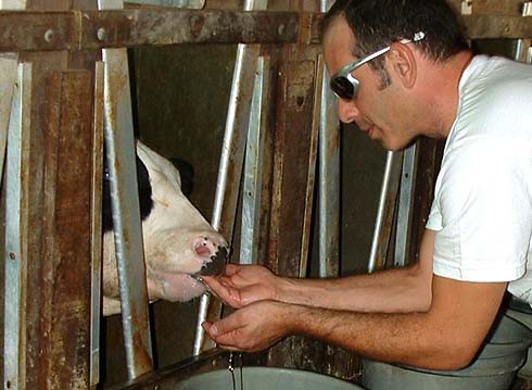 שי אביבי אמר לו: תקשיב חמוד, זה מים, אני יודע שאתה לא מכיר את זה, אבל זה אחלה. תאמין לי, אתה תאהב את זה 