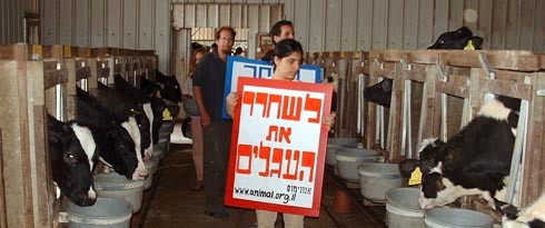 ההפגנה בתוך המשק