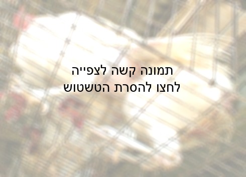 גם רצפת הכלוב עשויה רשת טיל מרושתת. נטייתן של התרנגולות לעמוד על ענפים, כשכף הרגל אוחזת בענף - מדוכאת לחלוטין.
