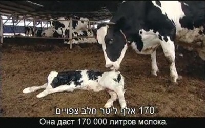 מתוך: איפה האוכל? עם אייל שני, פרק 2 (Hot / ynet)