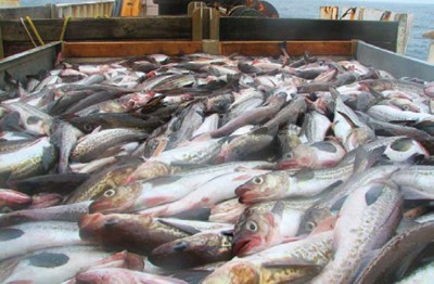 תמונה זו מופיעה בדו ח 