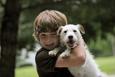 קשר אחראי עם חיות מחמד נחשב על-ידי רבים בתור העניין המרכזי בתחום זכויות בעלי-החיים – מתוך חוסר הבנה או...