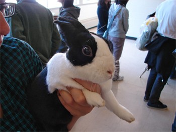 הזמנת מדריכים חיצוניים, שמביאים איתם חיות שהילדים יוכלו לראות מקרוב ולגעת בהן, פסולה מכל וכל. הטלטול...