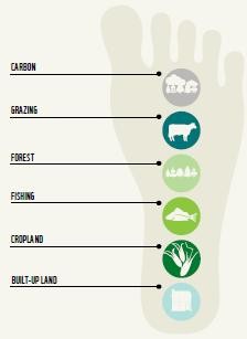 ששת המדדים העיקריים שבהם משתמש הדו ח להערכת ניצול משאבי הטבע שנגרם עקב אורח-חיינו. ארבעה מתוכם קשורים...
