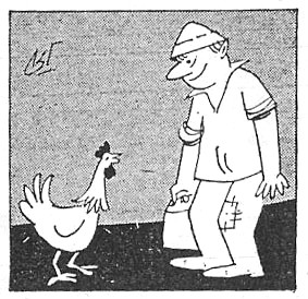 תרנגולת ולולן פנים אל פנים: איור טיפוסי מתוך כתב-העת משק העופות באמצע המאה ה-20.