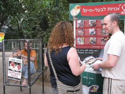 פעילות אנונימוס והישגיה בשנת 2010