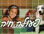 פעילות אנונימוס והישגיה בשנת 2010