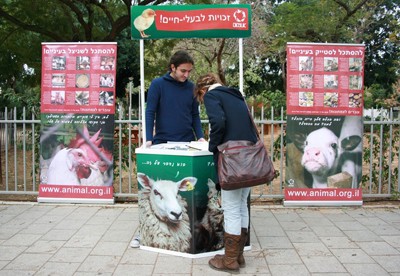 דוכן הסברה של אנונימוס בפעולה: בארגונים המצטיינים בהכרה מגובשת בזכותן של החיות לִחיות בתנאים טובים,...
