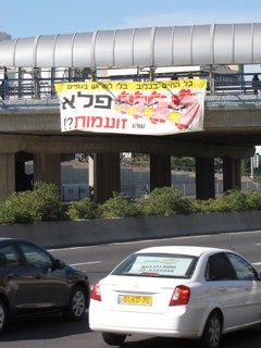  כל החיים בכלוב בלי לפרוש כנפיים: פלא שהן זועמות? כרזה בנתיבי איילון