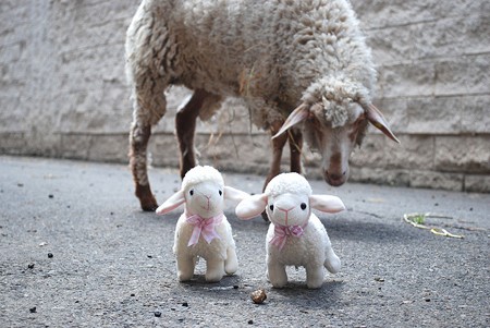 כבשה ובובות כבשים: עם אילו בובות אדם אפשר לצלם כך אנשים מבלי שהשימוש בבובות וההעמדה ייתפסו כפוגעים? 