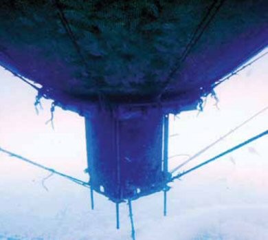 מבט מבחוץ כל כלוב דגים לחופי הוואי. צילום: National Oceanic and Atmospheric Administration