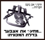 פרווה