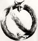 אין כניסה לפרוות