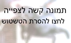 המתת חורפן במשק לייצור פרוות