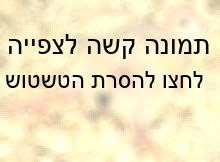 כשילת רגליים באפרוח כתוצאה מהעיוות התורשתי