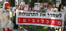 הפגנה שקיימו פעילי אנונימוס נגד כלובי הסוללה בתעשיית הביצים