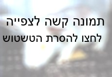 ארנב צרוב עיניים מגולח עור בעת ניסוי אכזרי במיוחד