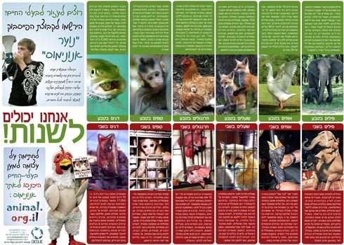 פוסטר שניתן להזמין מאנונימוס כבסיס לעיתון קיר